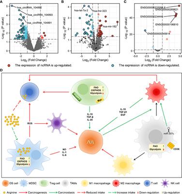 Modulation of immunosuppressive cells and noncoding RNAs as immunotherapy in osteosarcoma